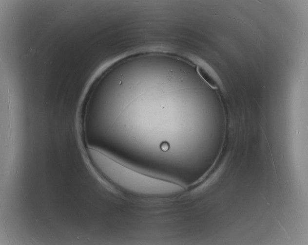 X0000112140989200908141150