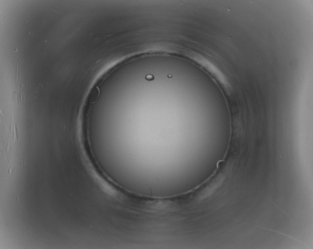 X0000112140991200908141150