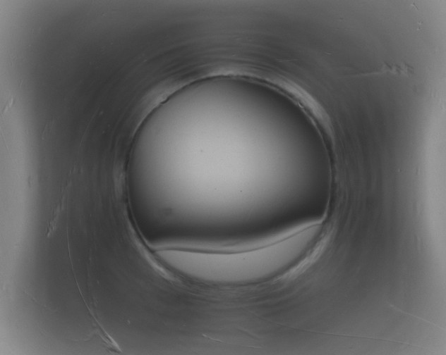 X0000112140993200908141150