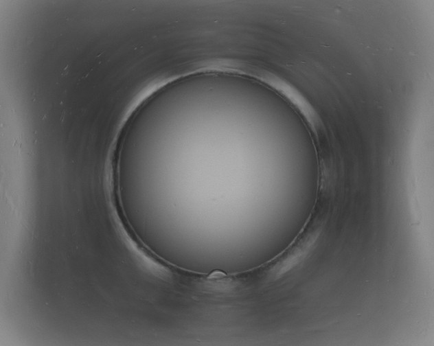 X0000112140999200908141150