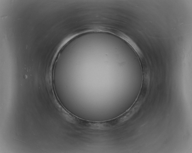 X0000112141004200908141150