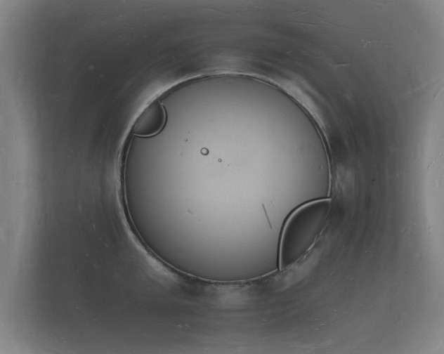 X0000112141005200908141150