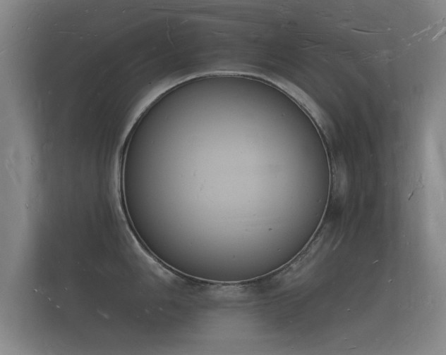 X0000112141006200908141150