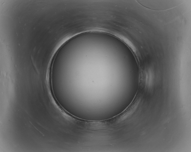 X0000112141007200908141150