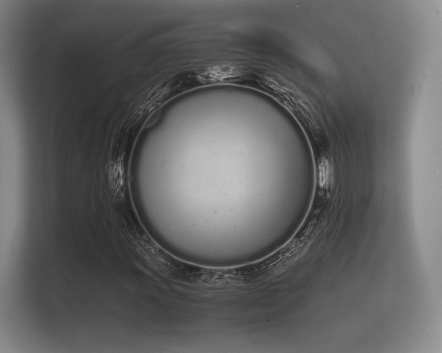 X0000112141011200908141150