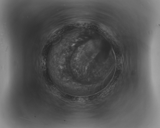 X0000112141013200908141150