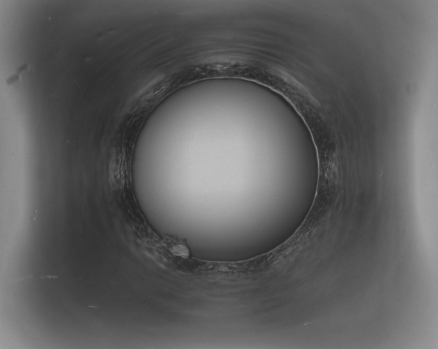 X0000112141014200908141150