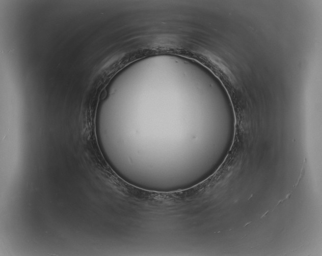 X0000112141015200908141150