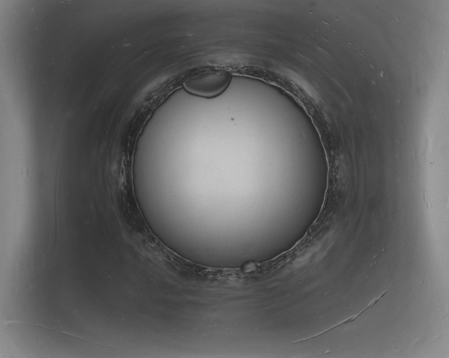 X0000112141016200908141150