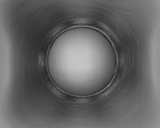 X0000112141017200908141150