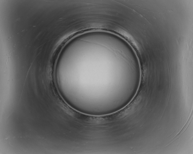 X0000112141019200908141150