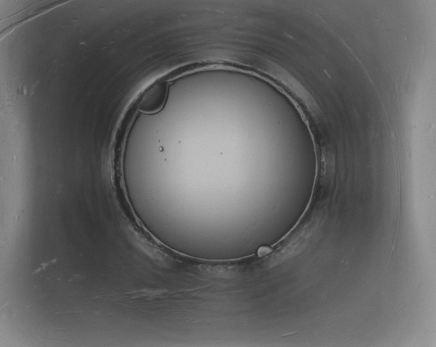 X0000112141020200908141150