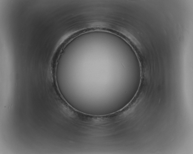 X0000112141022200908141150