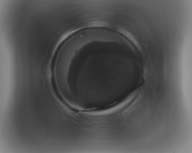 X0000112141024200908141150