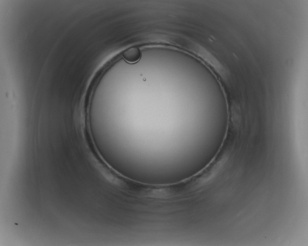 X0000112141028200908141150