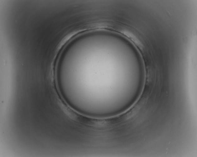 X0000112141031200908141150