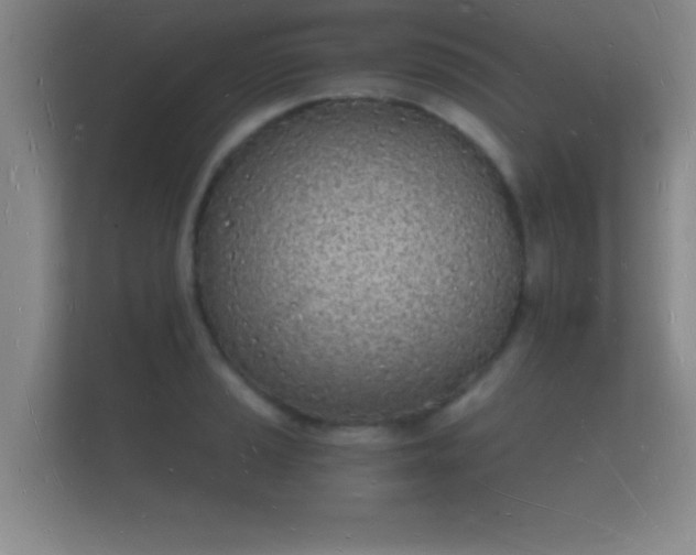 X0000112141037200908141150