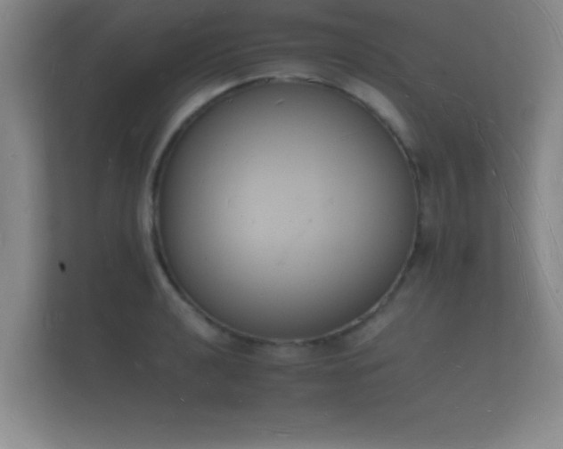 X0000112141040200908141150