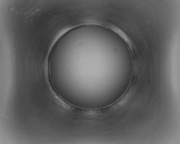 X0000112141048200908141150