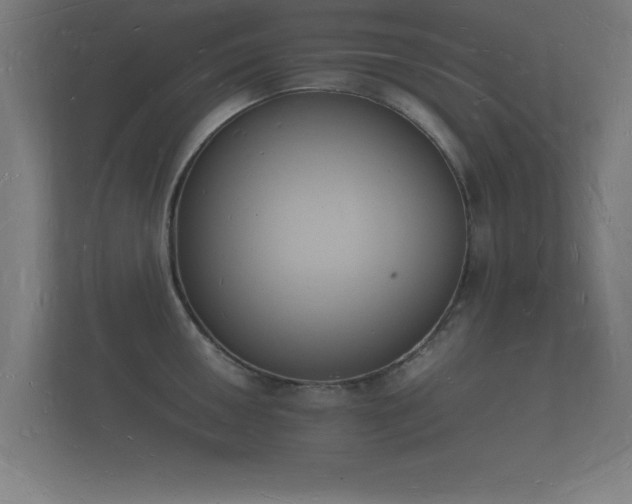 X0000112141050200908141150