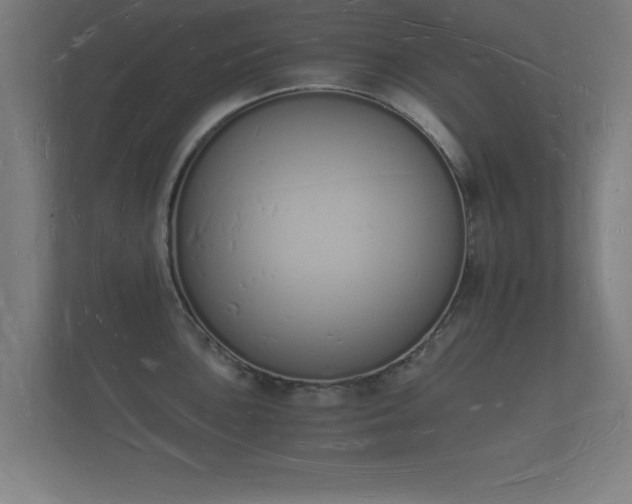 X0000112141051200908141150