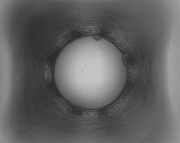 X0000112141058200908141150