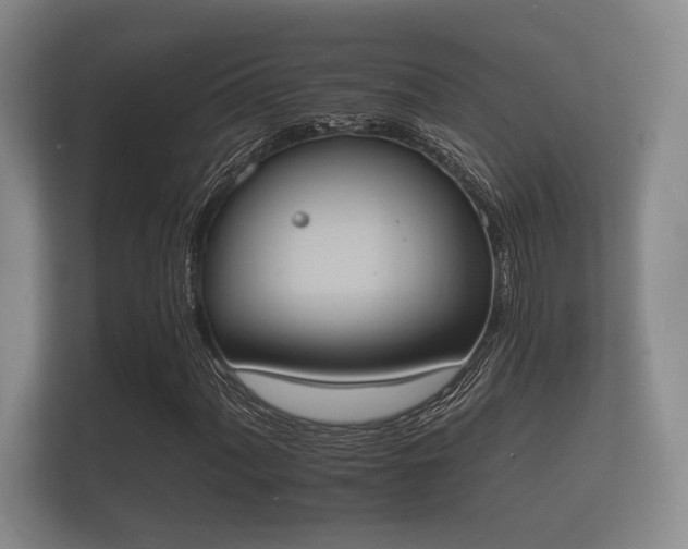 X0000112141060200908141150