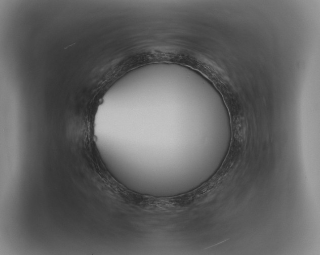 X0000112141061200908141150