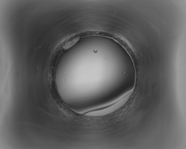 X0000112141064200908141149