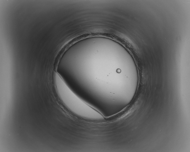 X0000112141065200908141149