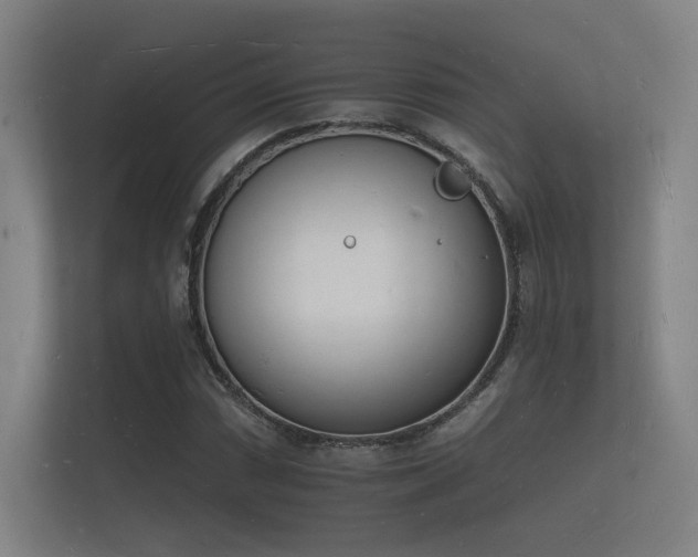 X0000112141066200908141149