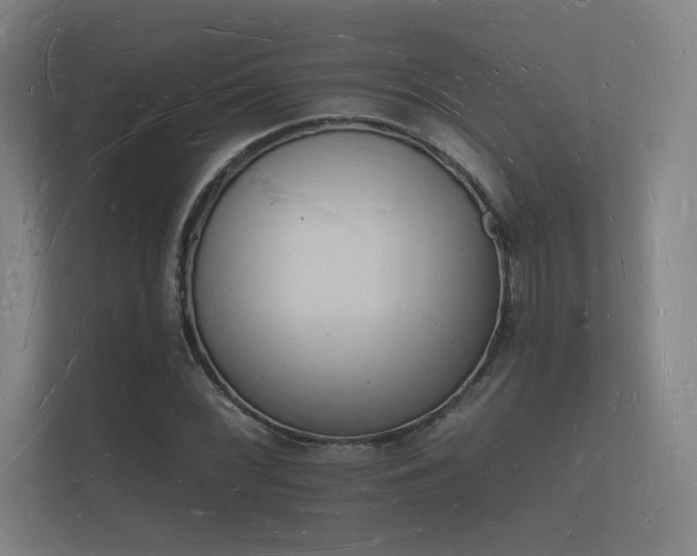 X0000112141068200908141149