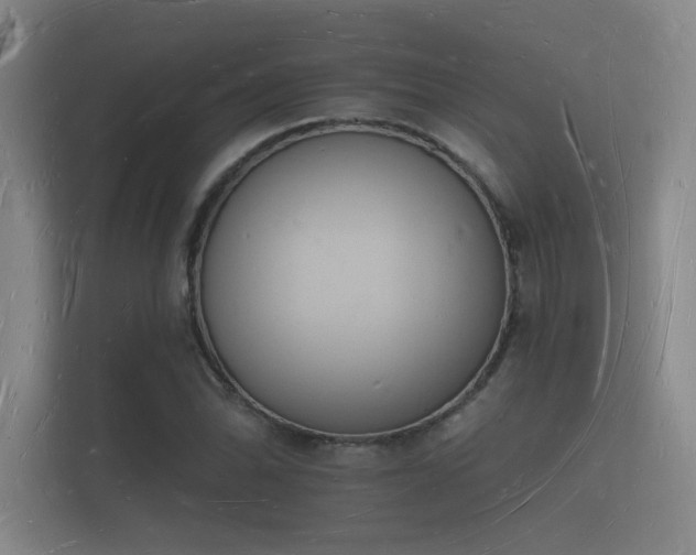 X0000112141070200908141149