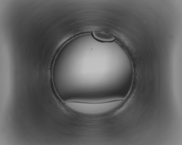 X0000112141073200908141149