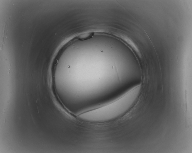 X0000112141080200908141149