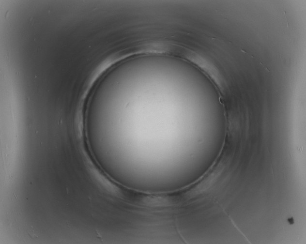 X0000112141083200908141149