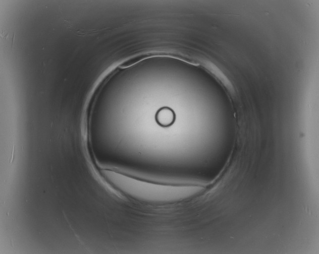 X0000112141084200908141149