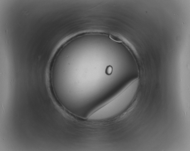 X0000112141085200908141149