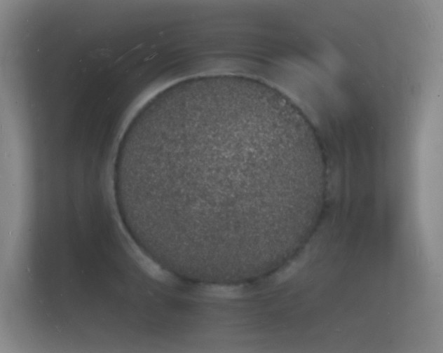 X0000112141086200908141149