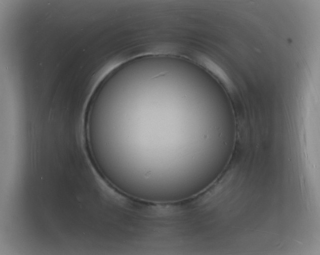 X0000112141087200908141149