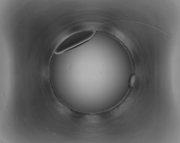 X0000112141089200908141149