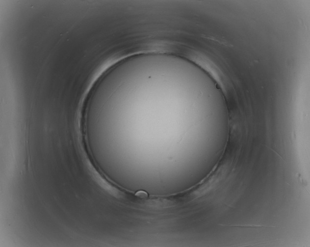 X0000112141091200908141149