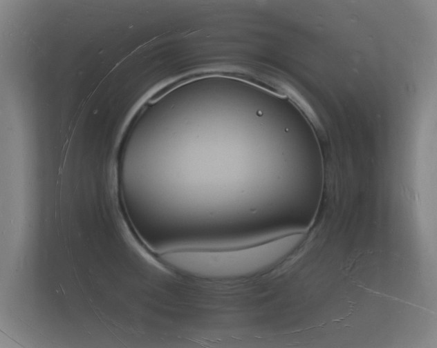 X0000112141092200908141149