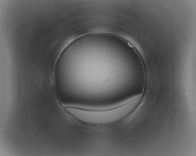 X0000112141097200908141149