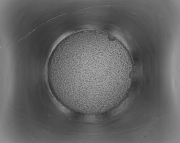 X0000112141098200908141149