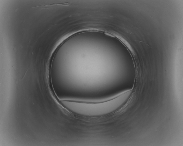 X0000112141101200908141149