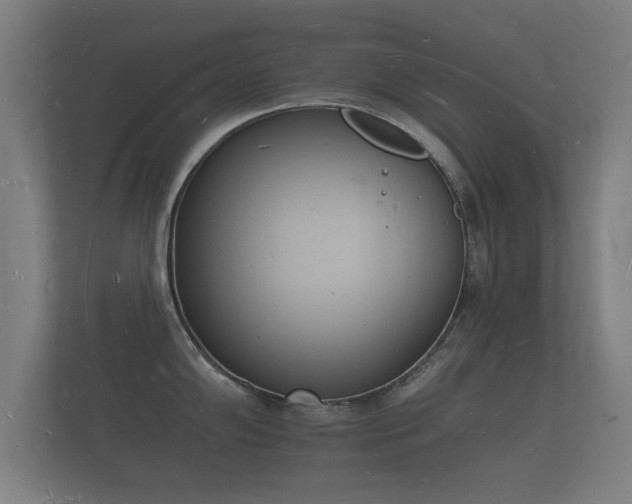 X0000112141102200908141149