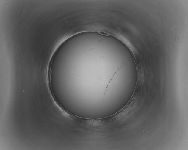 X0000112141103200908141149