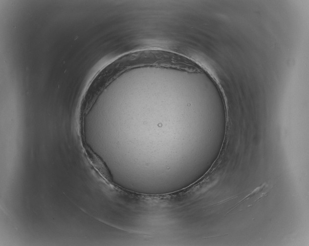 X0000112141104200908141149