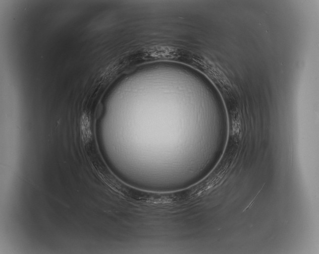 X0000112141106200908141148